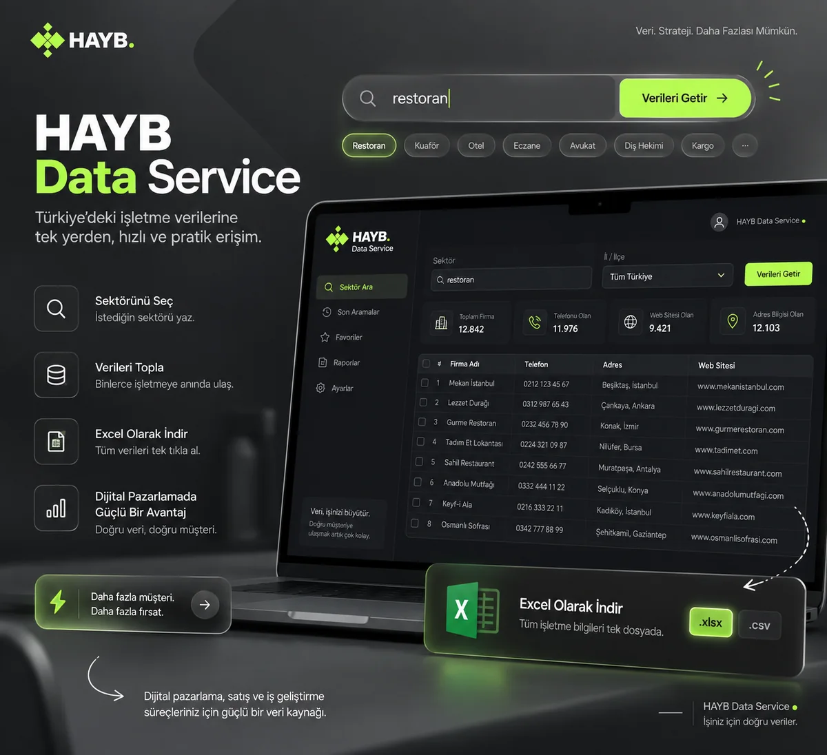 HAYB Data Service arayüzü: sektör arama, sonuç tablosu ve Excel olarak indirme